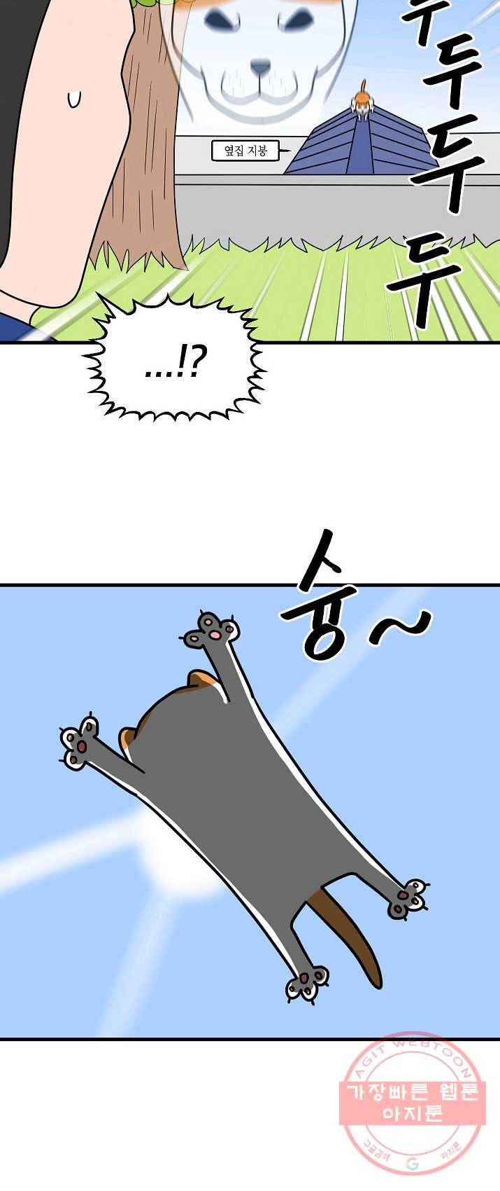 넘 많은 고양! 079화 3