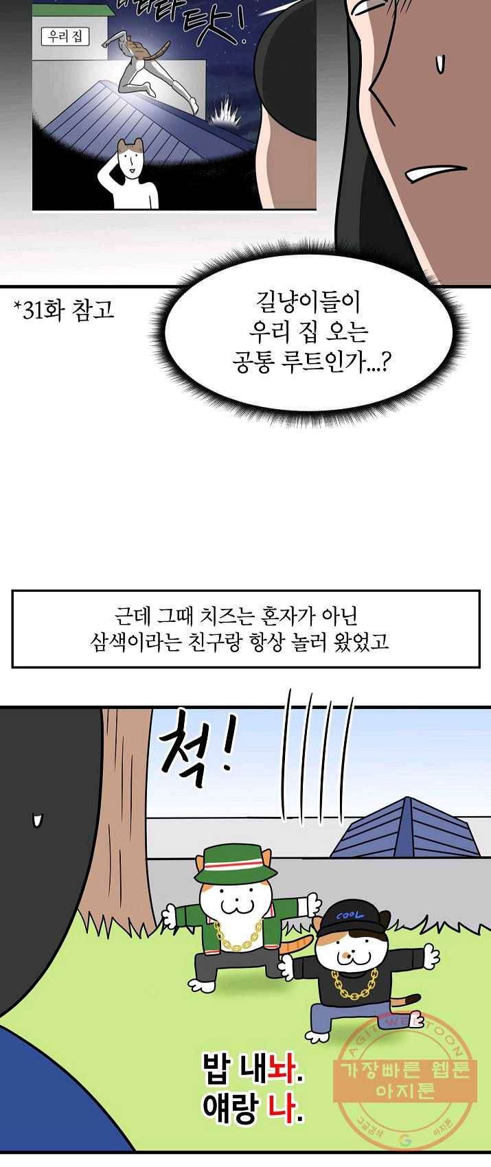 넘 많은 고양! 079화 5