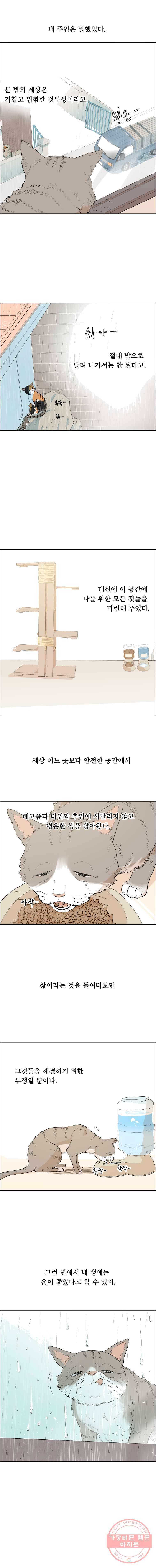 닥터 파인의 하루 87화 삶의 벽 3
