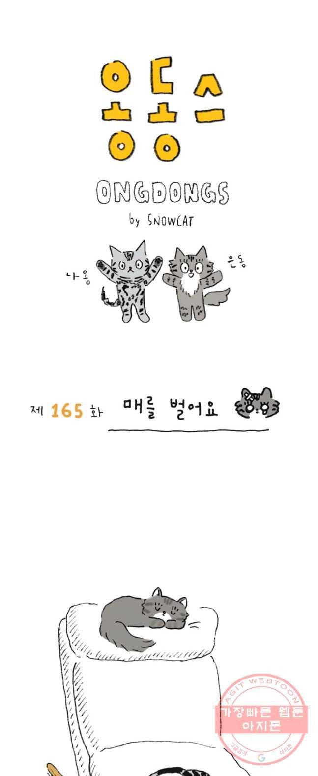 은동은동+옹동스 165화. 매를 벌어요 1