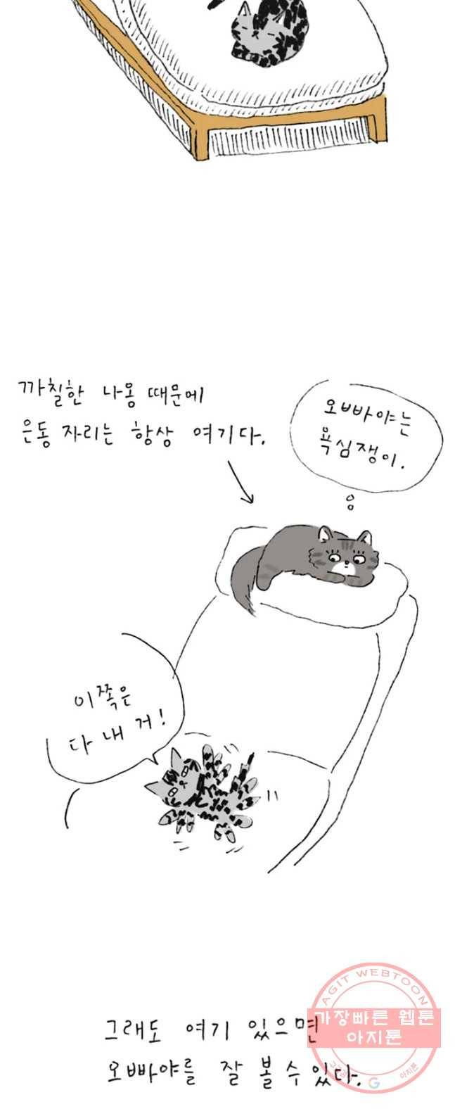 은동은동+옹동스 165화. 매를 벌어요 2
