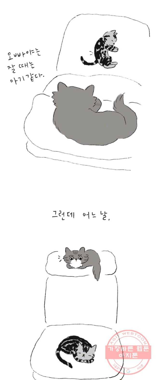 은동은동+옹동스 165화. 매를 벌어요 3