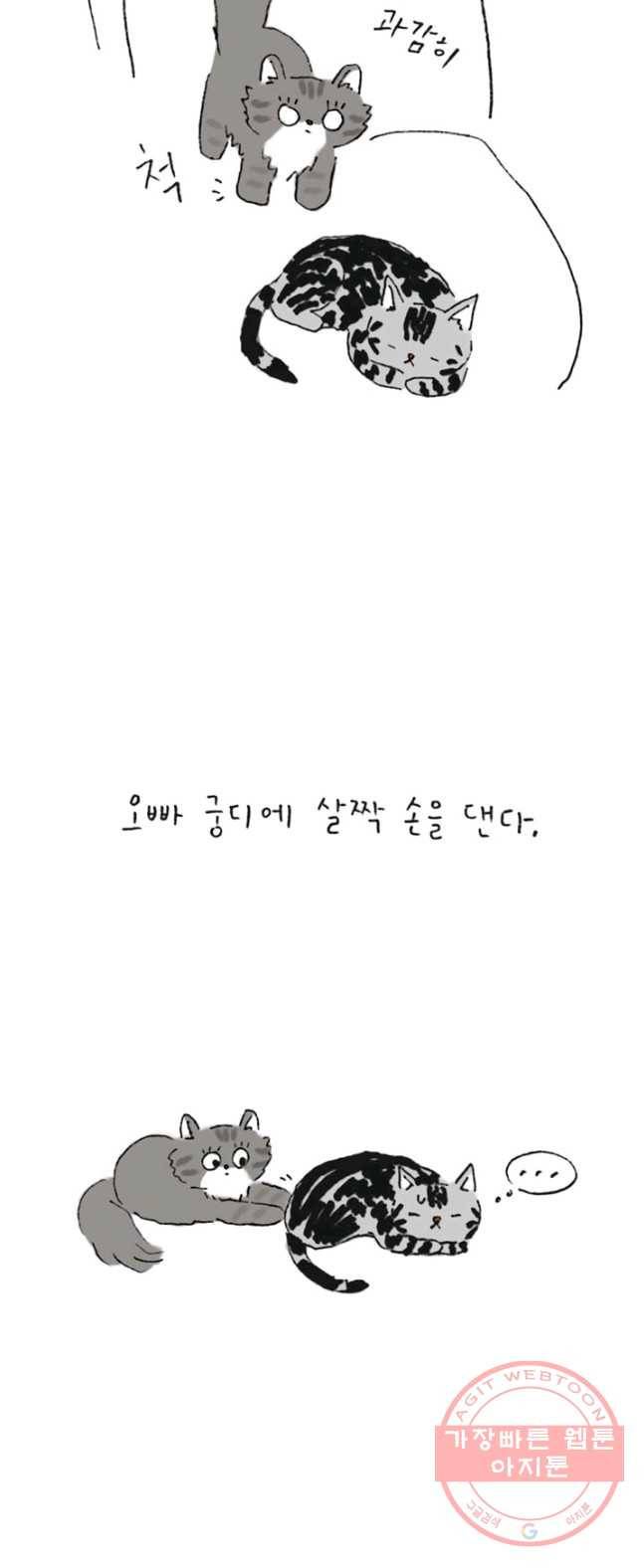 은동은동+옹동스 165화. 매를 벌어요 5