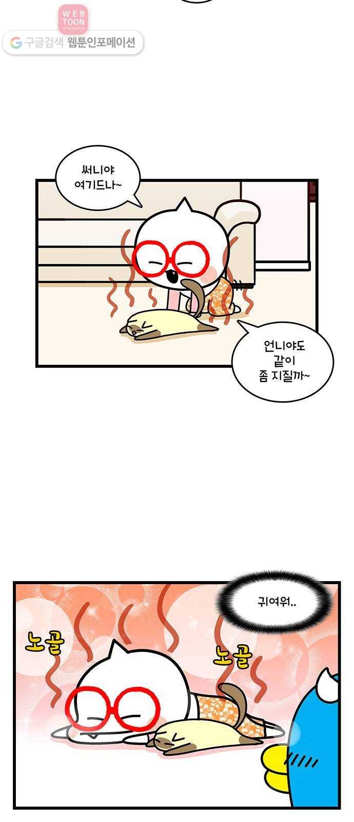 윌유메리미 시즌2 365화 반려동물 근황 4／4(마무리) - 써니 2