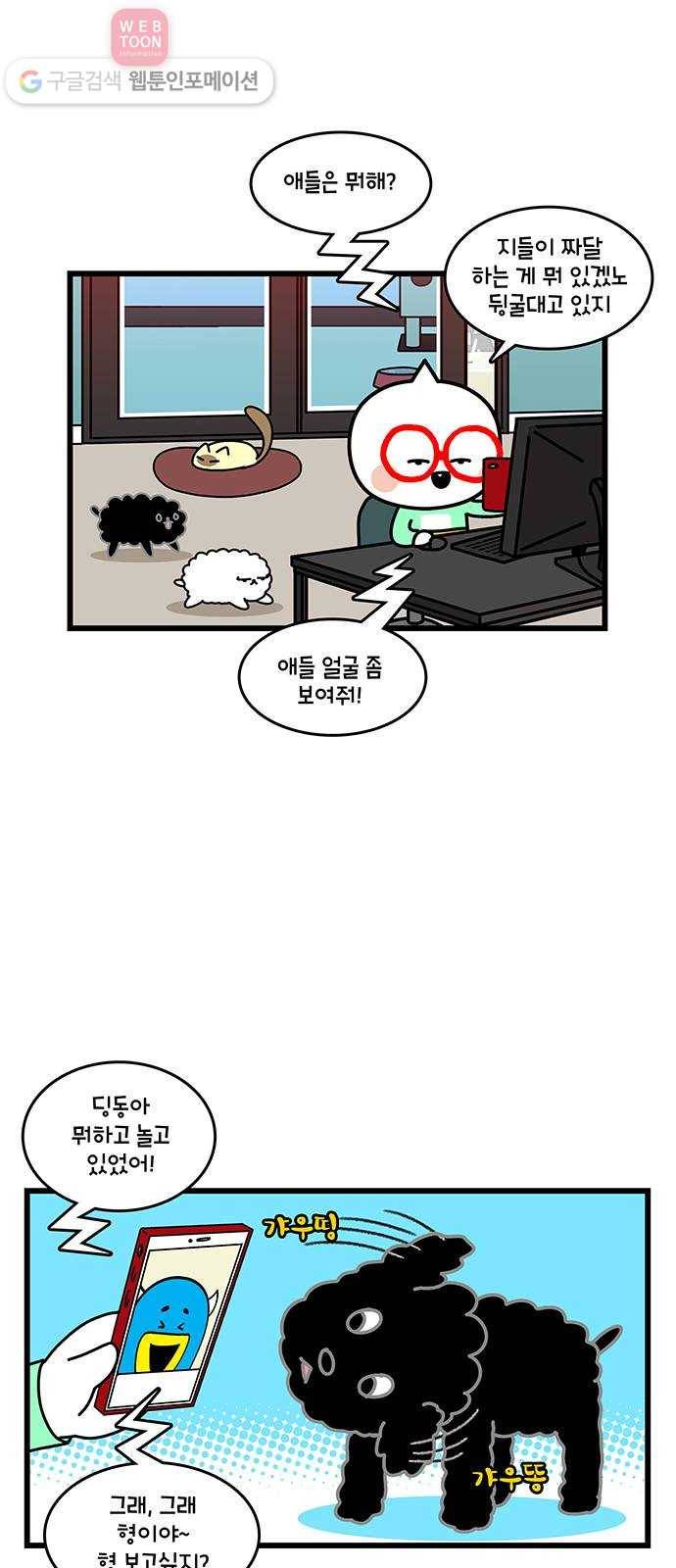 윌유메리미 시즌2 365화 반려동물 근황 4／4(마무리) - 써니 4