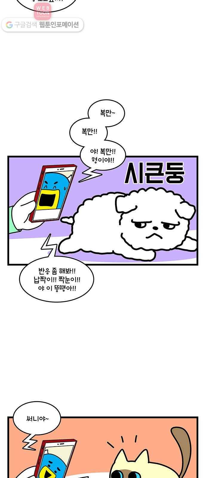 윌유메리미 시즌2 365화 반려동물 근황 4／4(마무리) - 써니 5