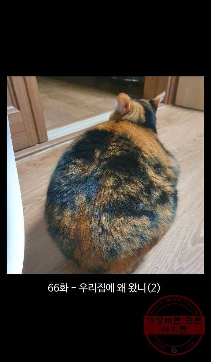 노곤하개 시즌4 66화 우리집에 왜 왔니 (2) 1
