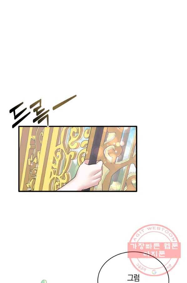 엔젤릭 레이디 47화 12