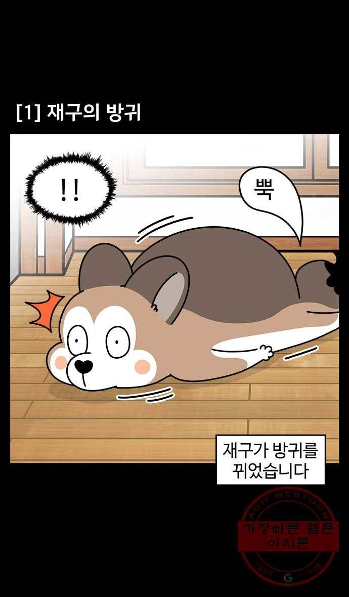 노곤하개 시즌4 69화 노곤하개냥 쇼트 (1) 2