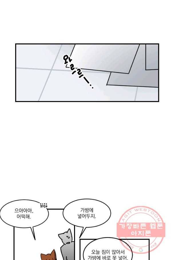 발밑에 클로버 외전(1) 1