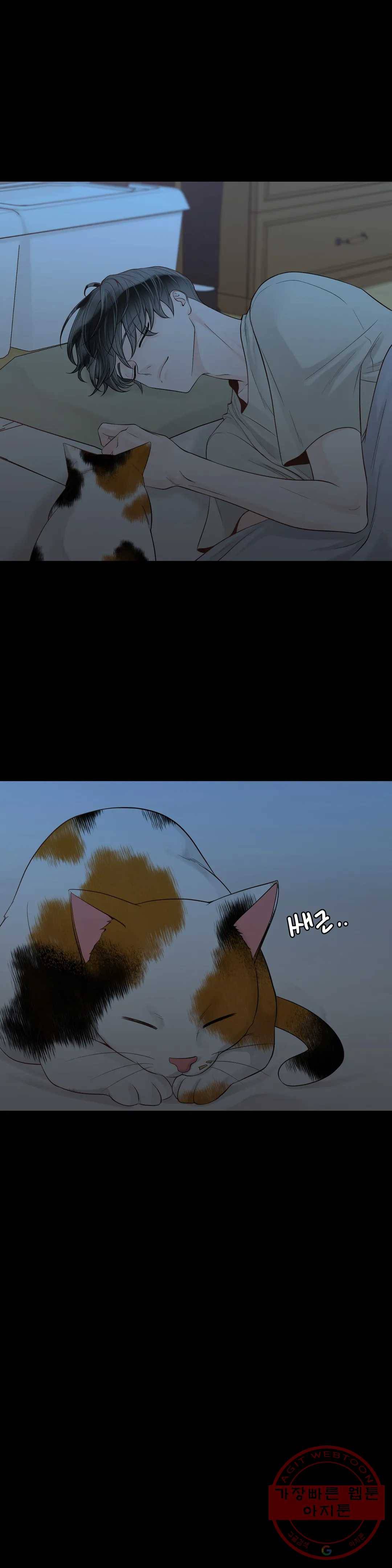 알파 메이트 43화 19