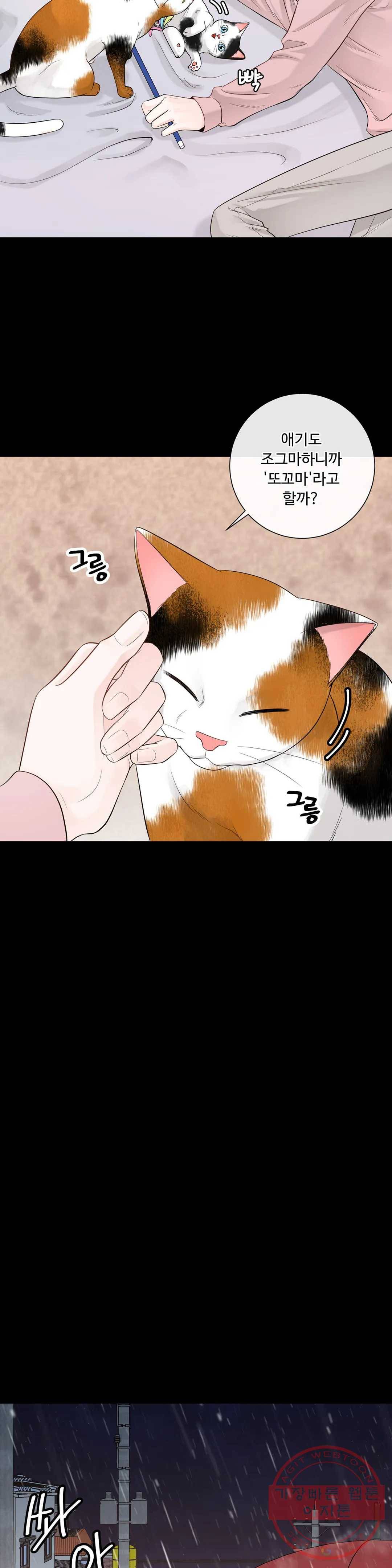 알파 메이트 43화 24