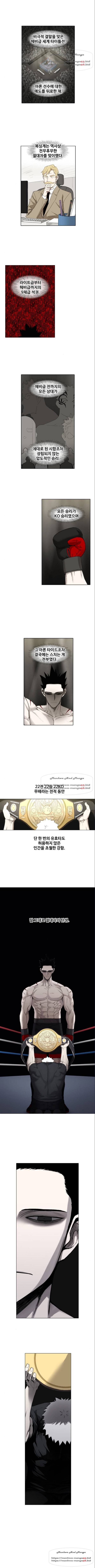더 복서 91화 1