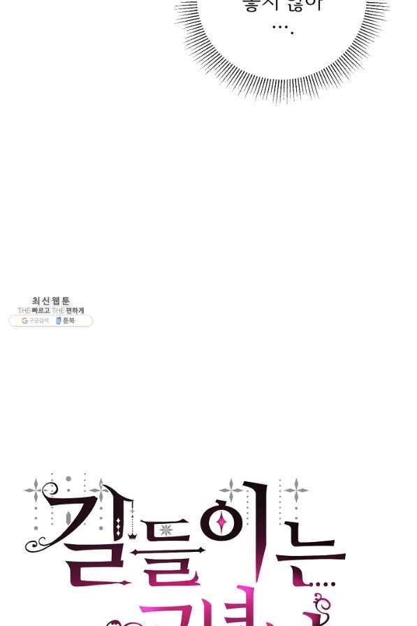 길들이는 공녀님 34화 16