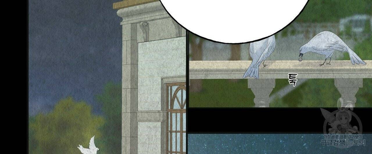 까마귀는 반짝이는 것을 좋아해 40화 12