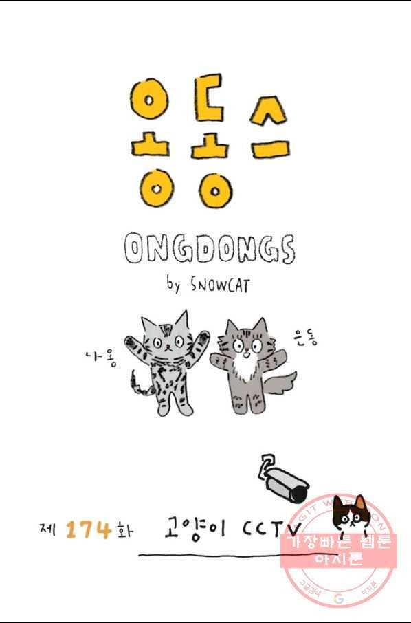 은동은동+옹동스 174화. 고양이 cctv 1
