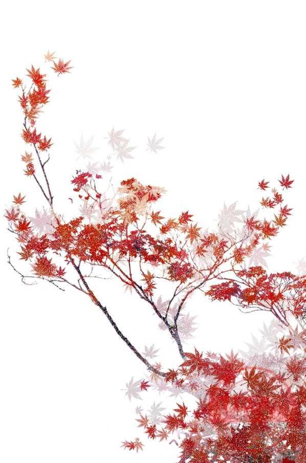 태자 전하, 한입만요 제84화 같은 목표를 좇고 있었던 걸지도 모른다 21