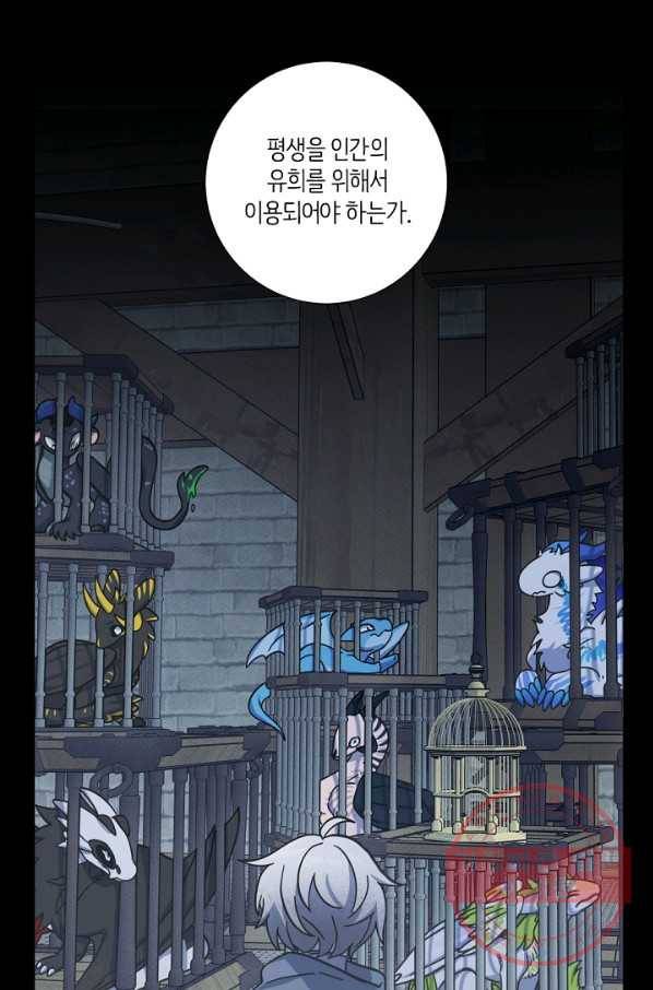 드라코런 117화 18