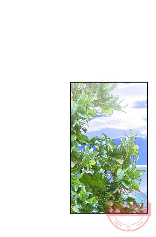 꽃은 춤추고 바람은 노래한다 56화 26