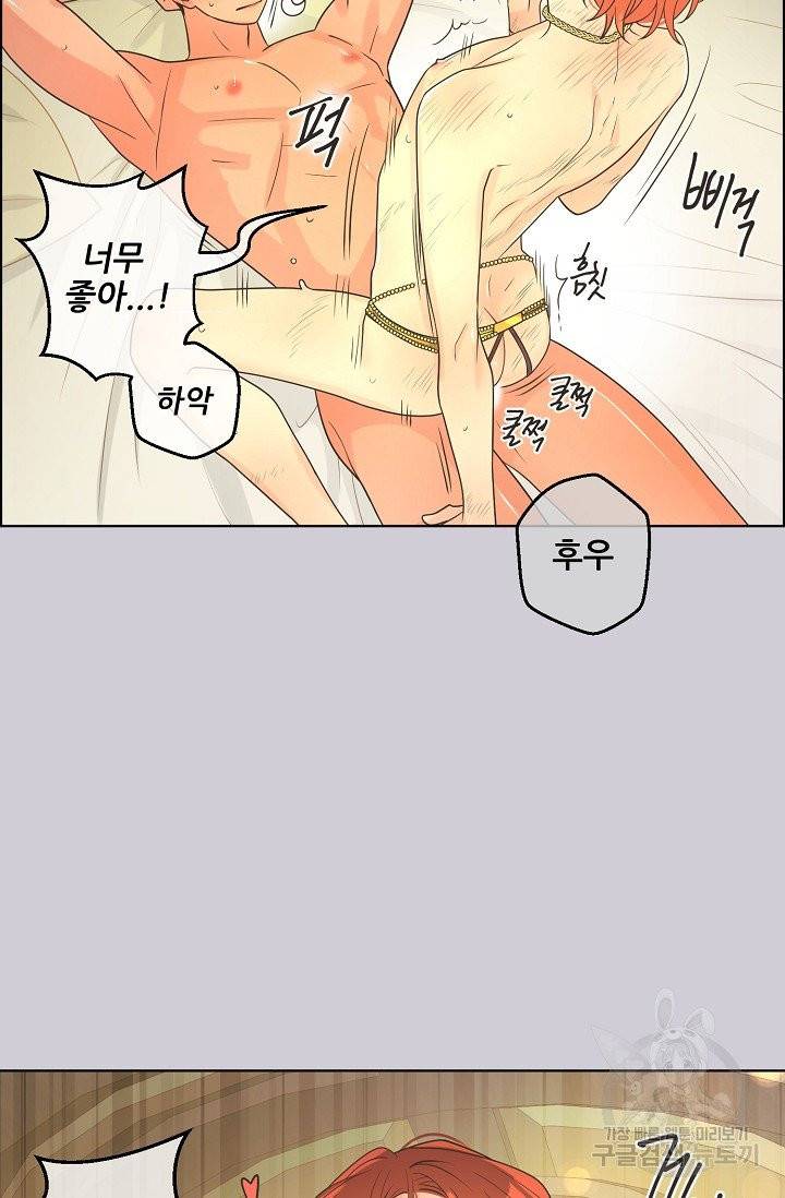 페오스 51화 2