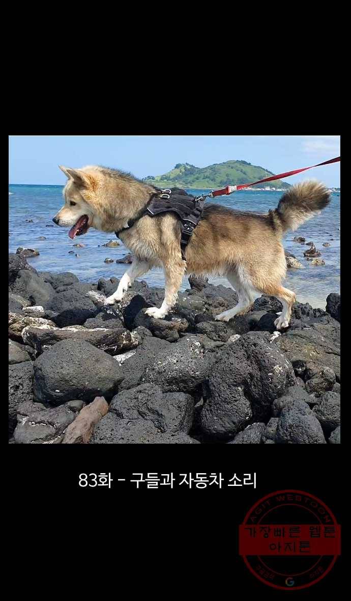 노곤하개 시즌4 83화 구들과 자동차 소리 1