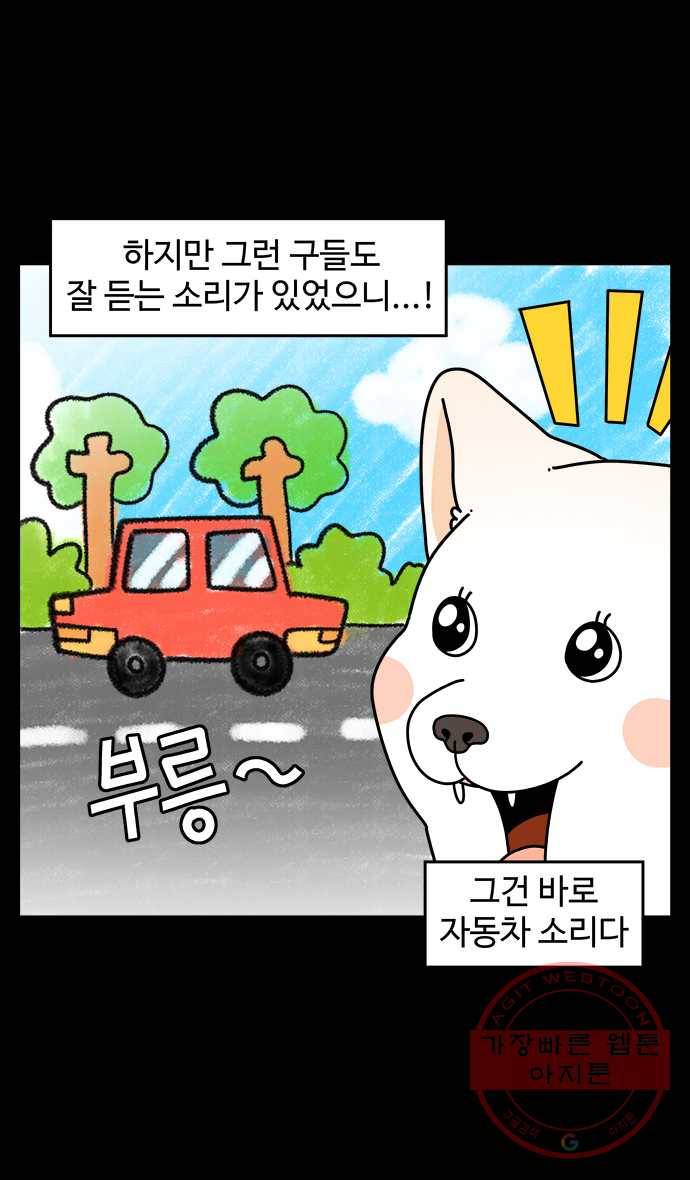 노곤하개 시즌4 83화 구들과 자동차 소리 3