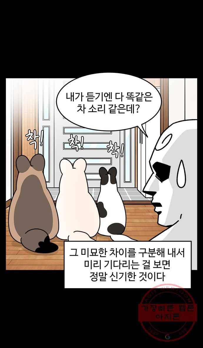 노곤하개 시즌4 83화 구들과 자동차 소리 4