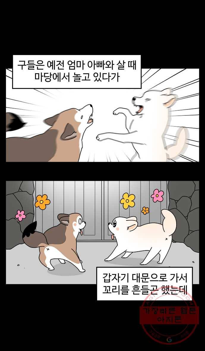 노곤하개 시즌4 83화 구들과 자동차 소리 5