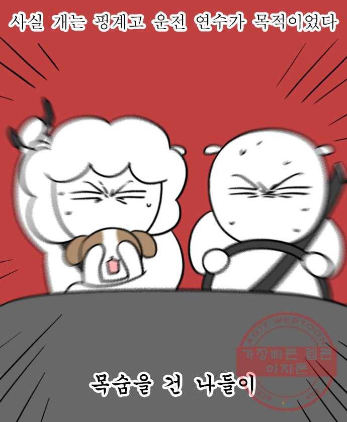 독립일기 시즌2 8화 반려견 운동장 2