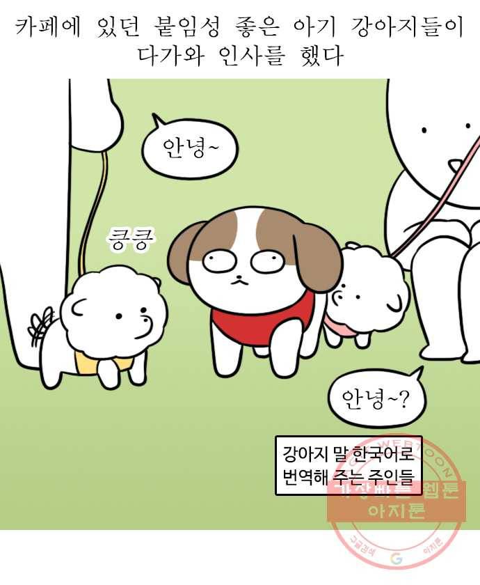 독립일기 시즌2 8화 반려견 운동장 7