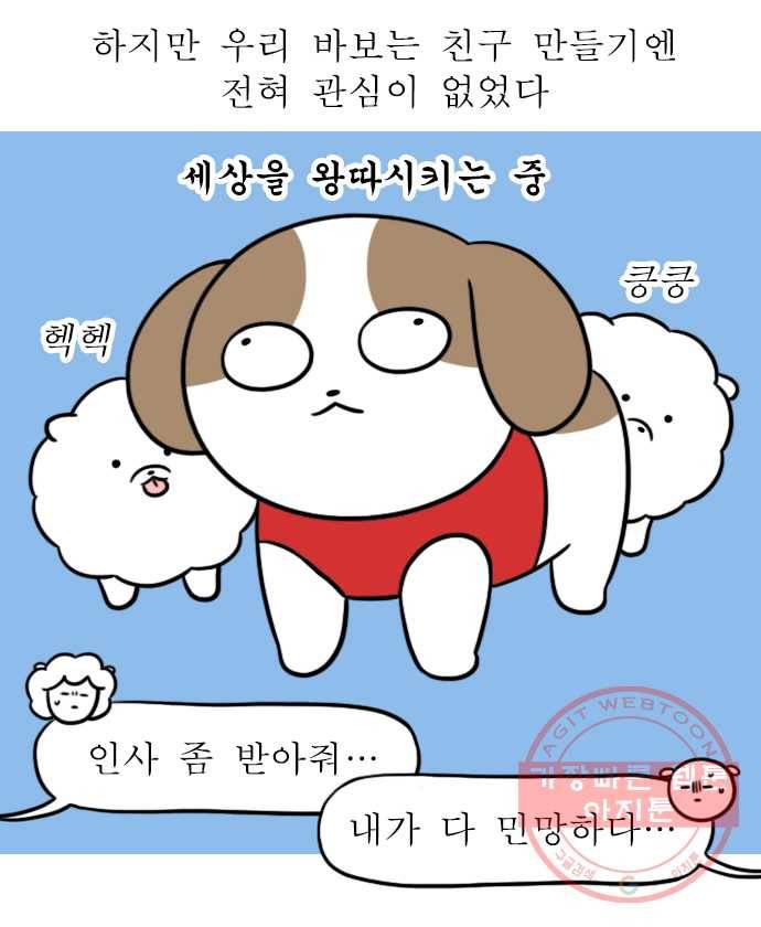 독립일기 시즌2 8화 반려견 운동장 8