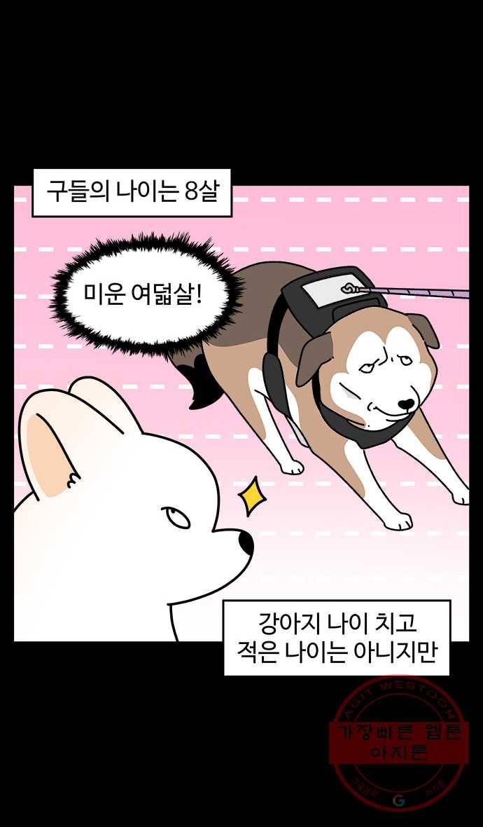 노곤하개 시즌4 88화 나이들고 아픈 것 (1) 2