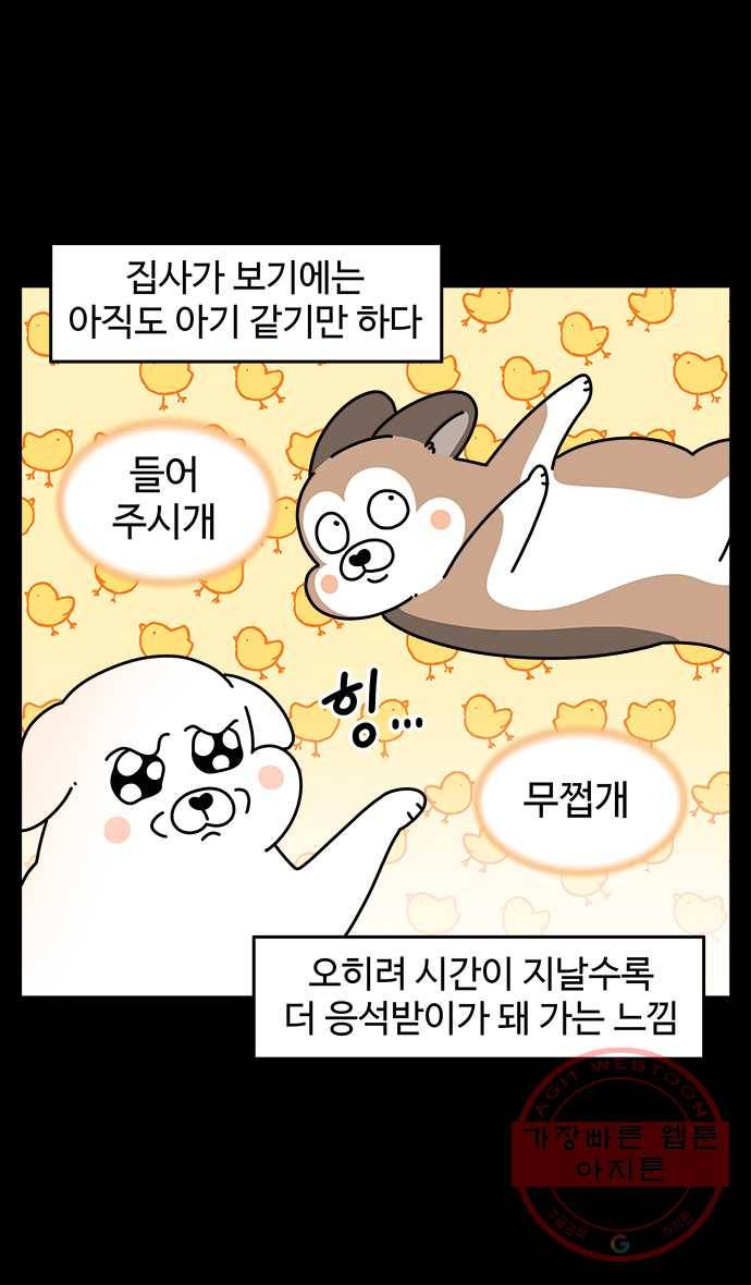 노곤하개 시즌4 88화 나이들고 아픈 것 (1) 3