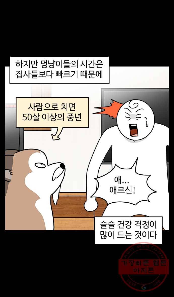 노곤하개 시즌4 88화 나이들고 아픈 것 (1) 4