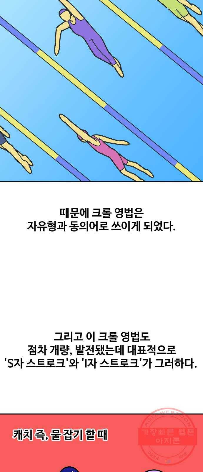 수영만화일기 55화 글라이딩과 스트로크 그리고 물 잡기中下 13