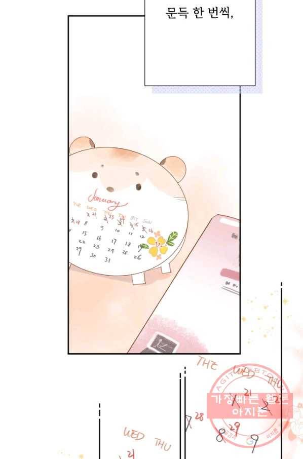 돌로의 운명캡슐 84화 12