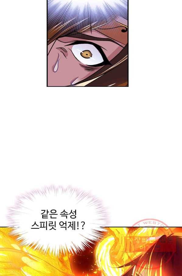 엘피스 전기:SOUL LAND 499화 40