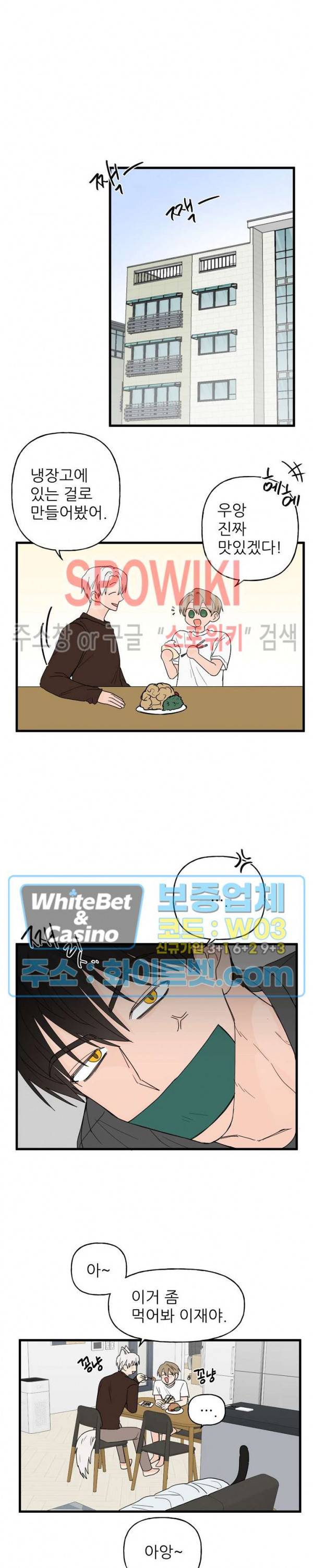 행운은 고양이로부터 8화 3