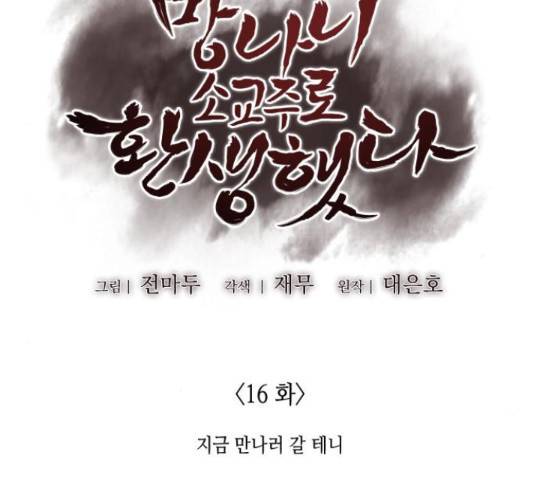 망나니 소교주로 환생했다 16화 9