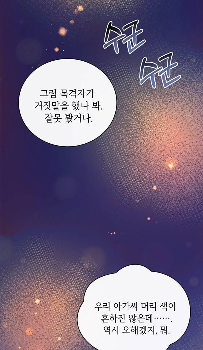 대공님, 실수였어요! 4화 33