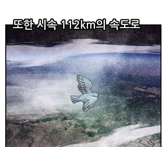 만물의 영장 PART2 41화 78