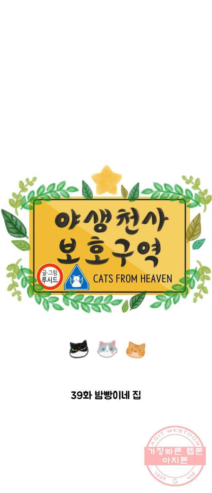 야생천사 보호구역 39화 밤빵이네 집 6