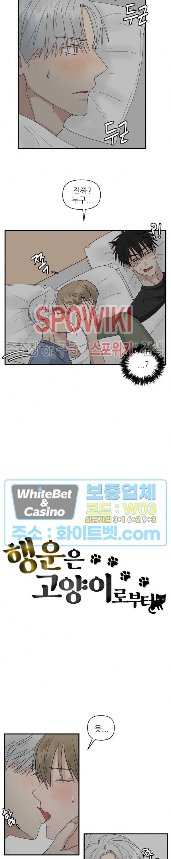 행운은 고양이로부터 17화 2