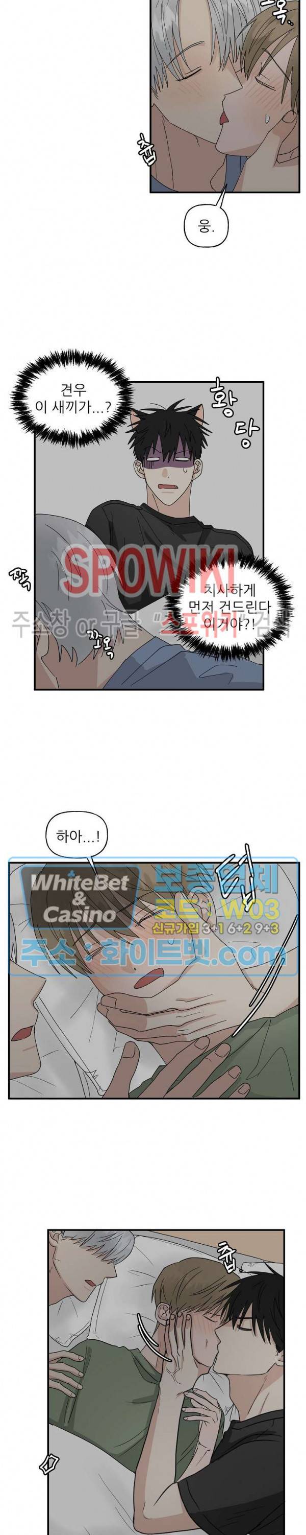 행운은 고양이로부터 17화 3