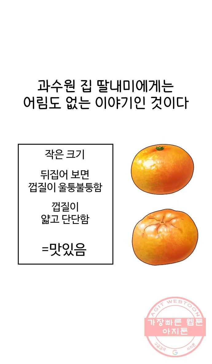 먹는 인생 8화 귤 15