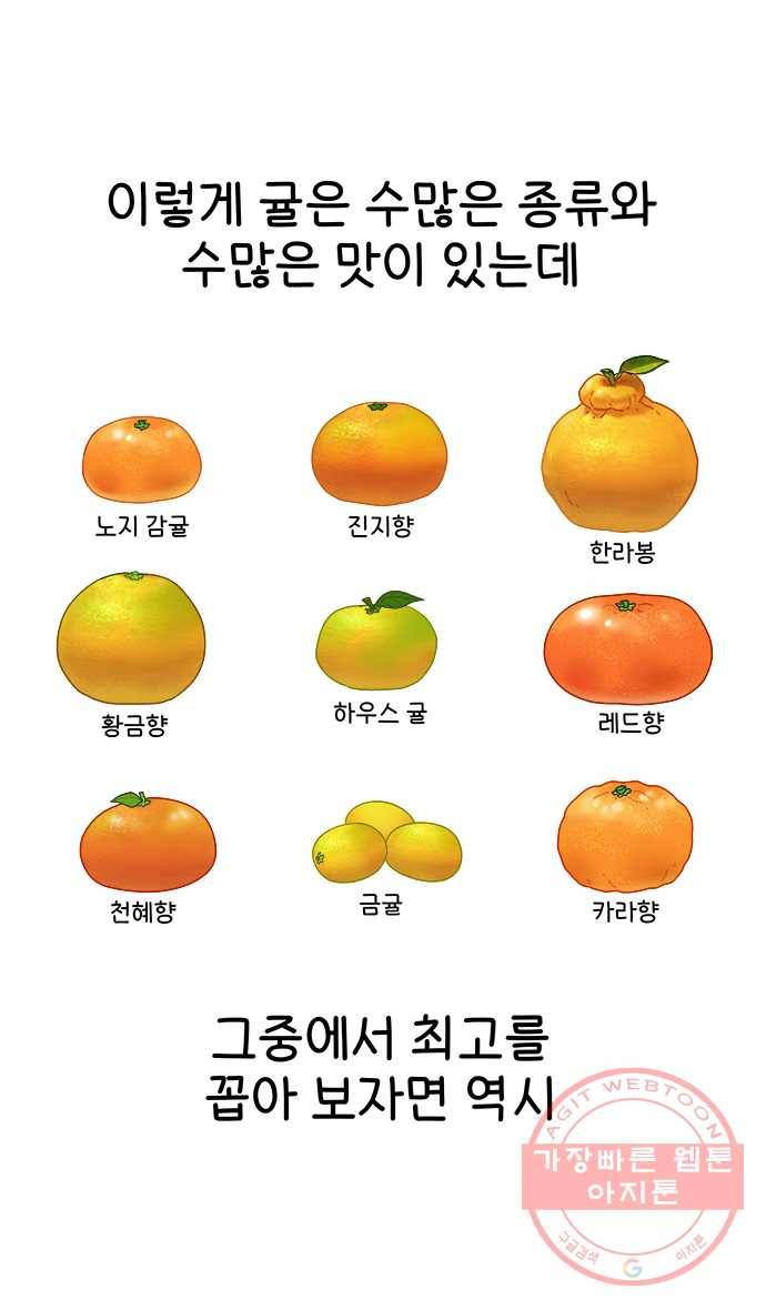 먹는 인생 8화 귤 19