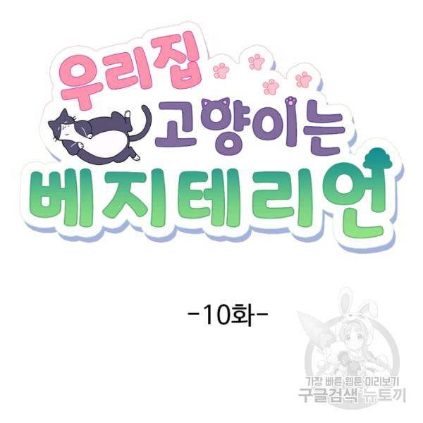 우리집 고양이는 베지테리언 10화 43
