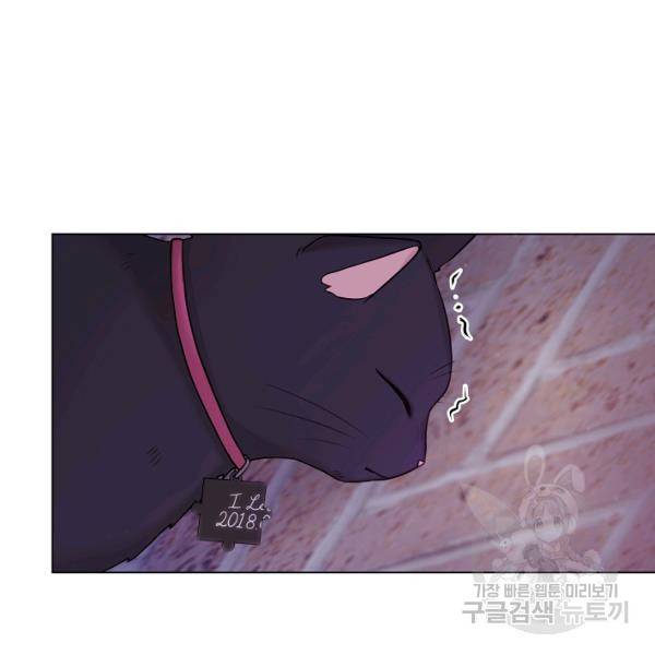 우리집 고양이는 베지테리언 10화 53