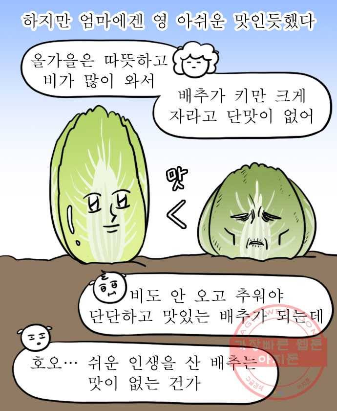 독립일기 시즌2 28화 김장 18
