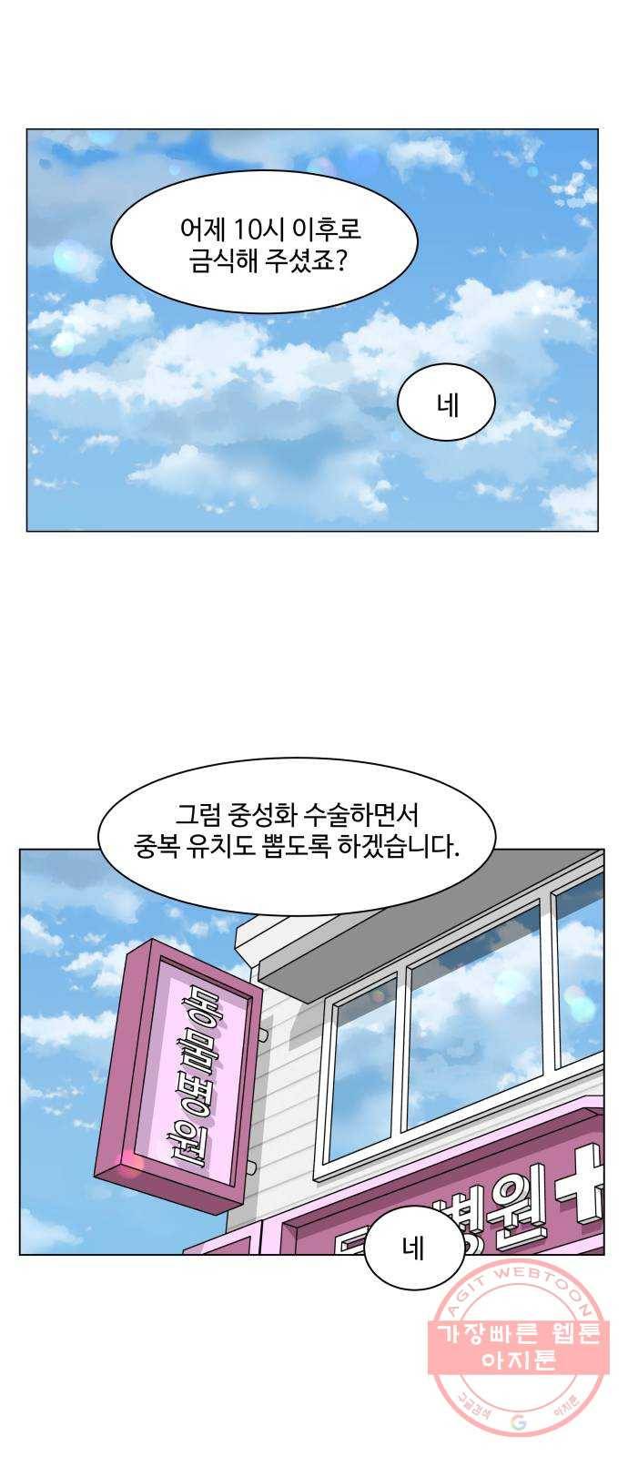 개를 낳았다 시즌2 74화 1